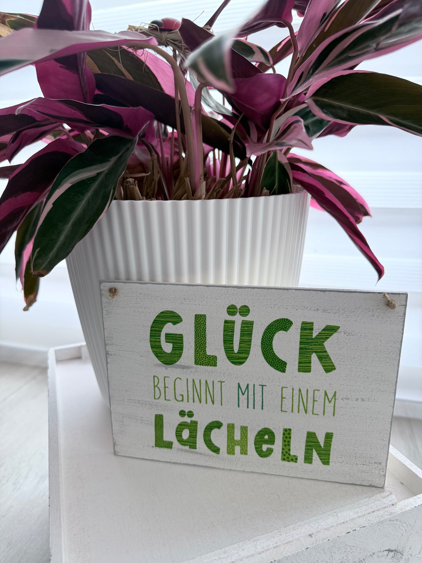 Holzschild mit Spruch „Glück beginnt mit einem Lächeln“ – DIN A5 Dekoschild – Geschenkidee